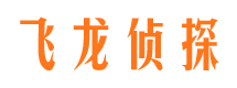 桃源市婚外情调查